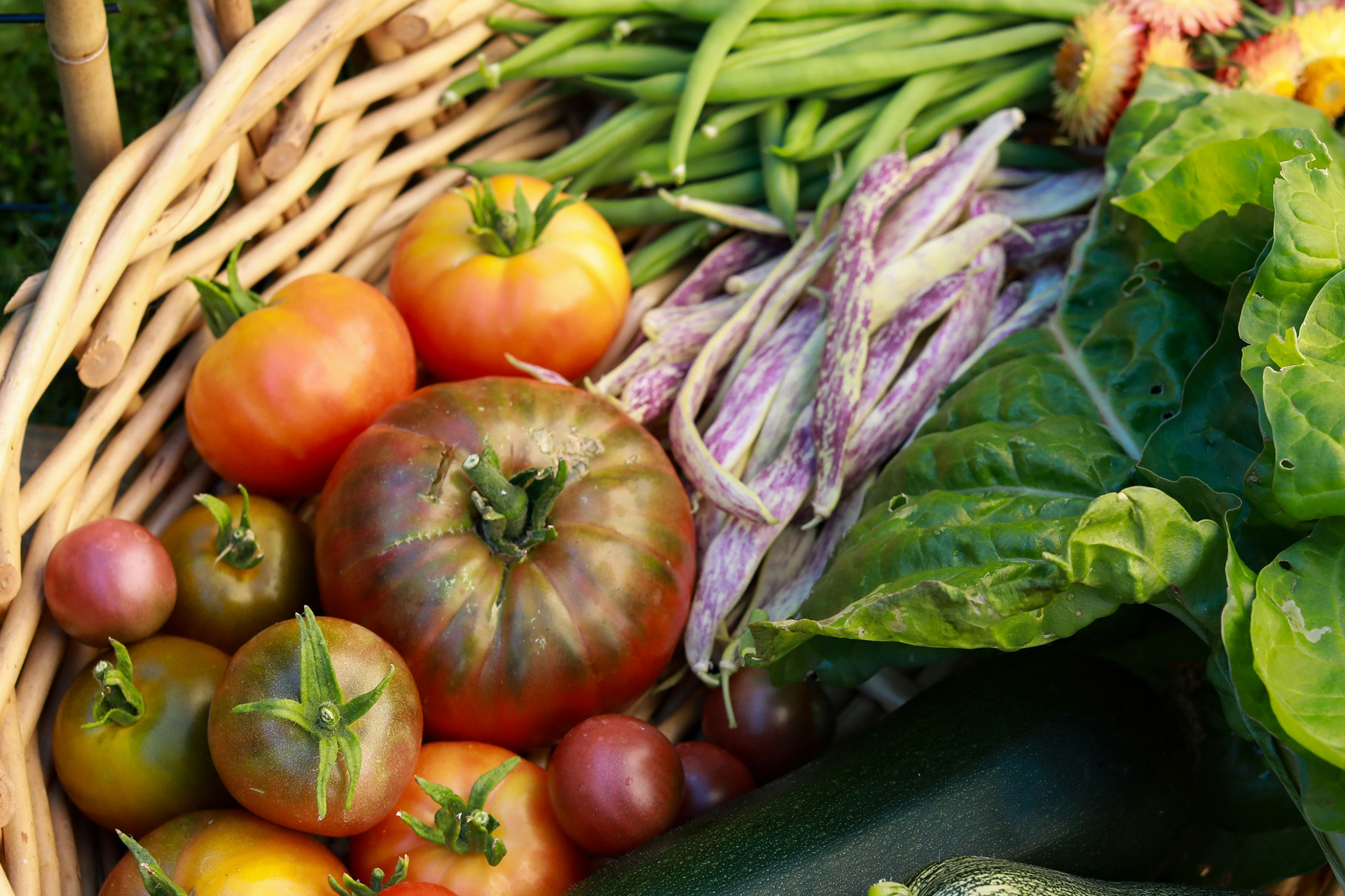 A basket of fresh fall vegtables sitting on the grass.
