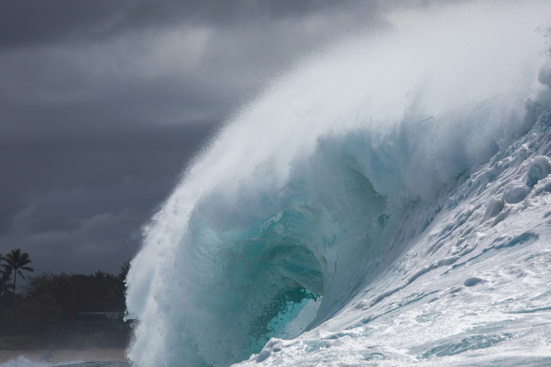 A cresting wave crashes on the beach.